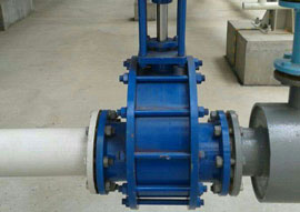 ���(d��ng)�մ��l�y�ɹ�����-����늏S