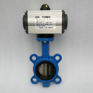 DN65ܛ�ܷ⌦�Aʽ��ӵ��y-��AT��ӈ�(zh��)����