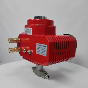 ����늄�С�����{(di��o)��(ji��)�y �߾��ȸ߉���������{(di��o)��(ji��)�y�T